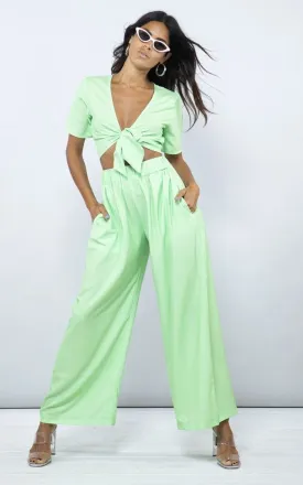 Chinchilla Trousers In Lime